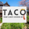 Taco Trump Always Chickens Out Yard Sign