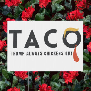 Taco Trump Always Chickens Out Yard Sign